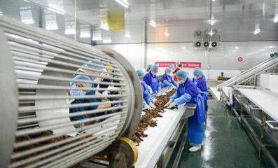 科技賦能鮮味體驗 每日優鮮小龍蝦節開啟，超聲技術驅動生鮮開發新篇章